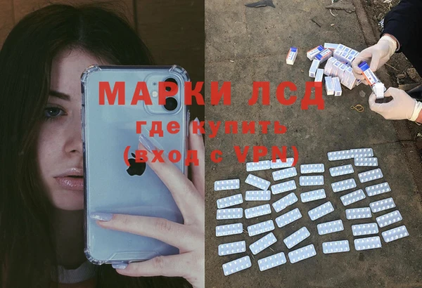 стафф Аркадак