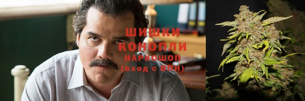 гидра Арсеньев
