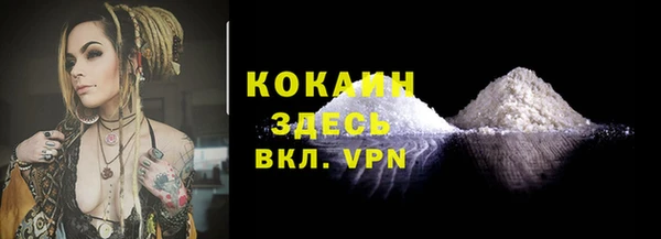 стафф Аркадак