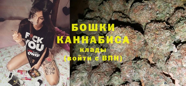 гидра Арсеньев