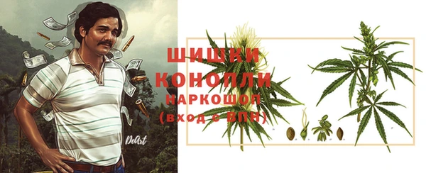 стафф Аркадак